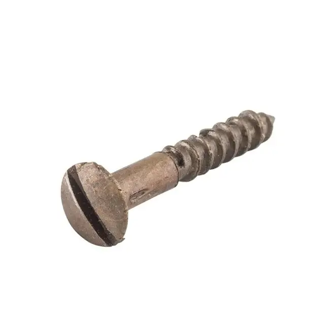 4.0x30mm Brass Slot Raised Csk W/Screws *BRN*