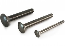 Stainless Steel Coach Bolts