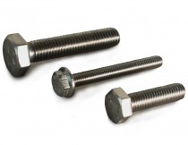 Stainless Steel Hexagon Set Screws