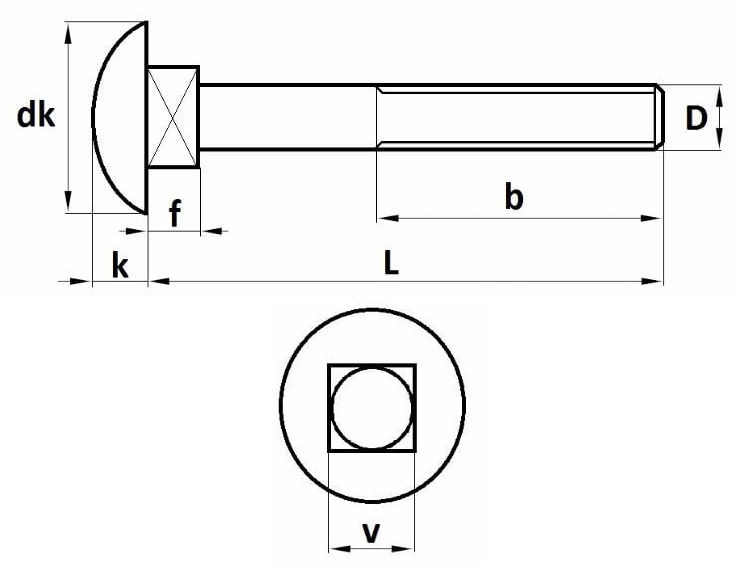 technical line drawing of stainless steel coach bolts and carriage bolts