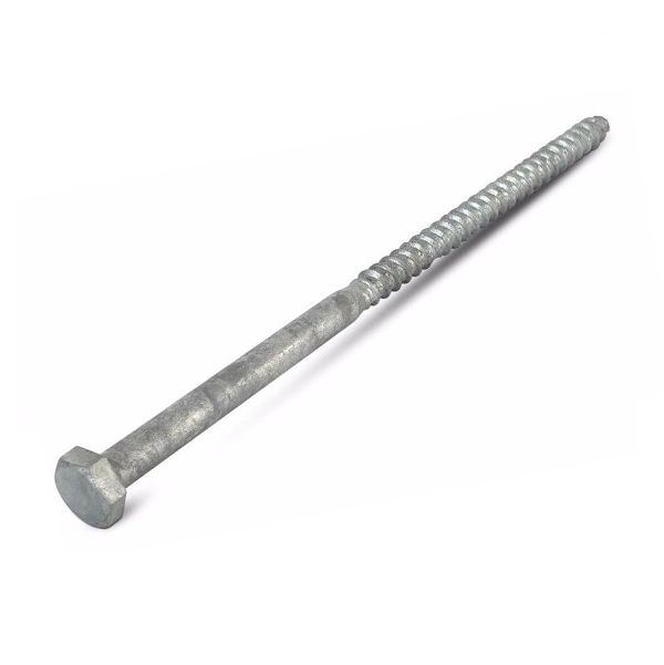Buy M16 Galvanised Coach Screws M16 x 250mm Galv Lag Screw Bolts