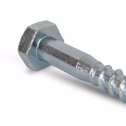 picture of lag screw head