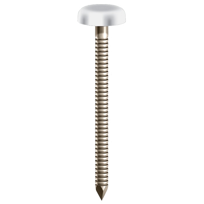 NAILS Facia. 65mm A4 STAINLESS STEEL 50mm POLYTOP PINS 40mm 25mm 30mm 
